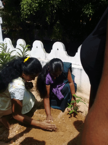 Thirasara School Programme