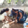 Thirasara School Programme